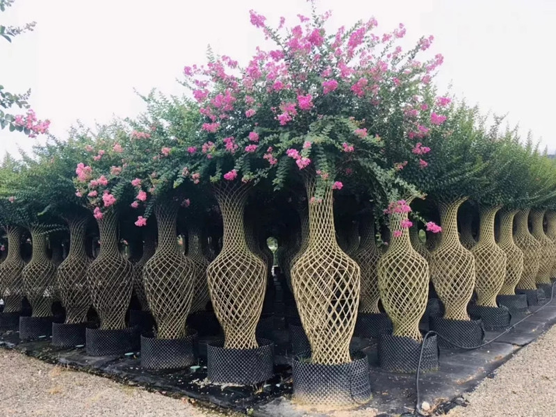 泰安市發(fā)改委副主任林敬到汶陽鎮(zhèn)督導(dǎo)重點項目復(fù)工開工及疫情防控工作